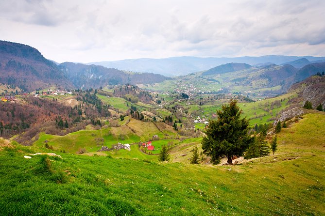 Day trip from Iasi to the UNESCO Painted Monasteries in Bucovina - Leaving Iasi at 8:00 a.m. in a small group