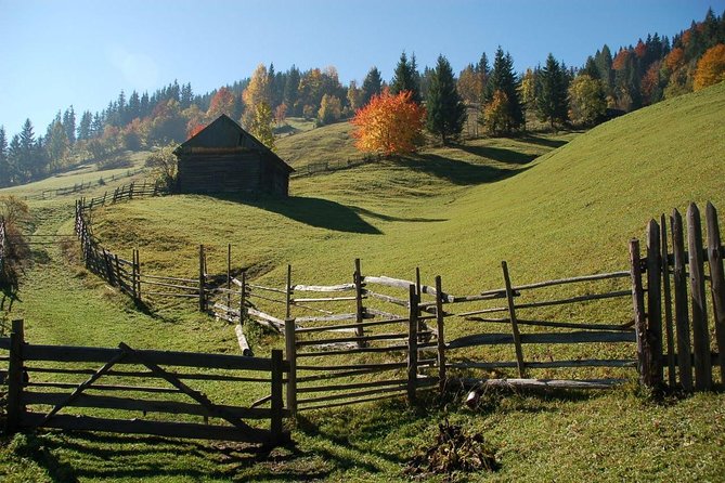 Day trip on Quad ATV - Transylvanian outdoor adventure - Practical booking advice for a smoother day