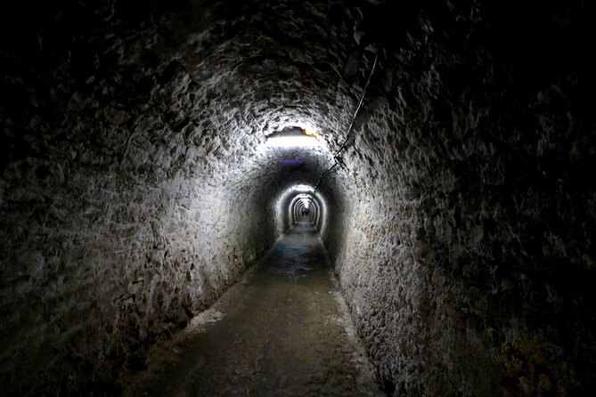 Day Trip to Turda Salt Mine and Corvin Castle from Timisoara - Exploring Corvin Castle for two hours