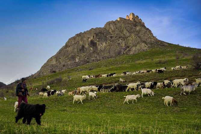 Day Trip To Turda Salt Mine, Rimetea Village & Coltesti Fortress - Who should book this experience?