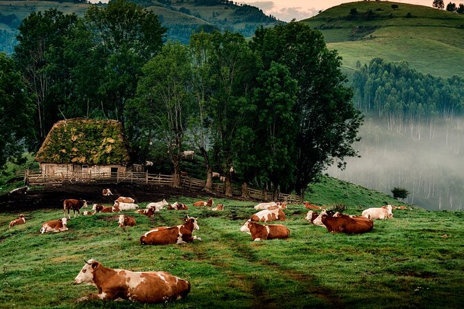 Discover Apuseni Mountains - Scarita Summit,Sipote Waterfall and Dumesti Village - Key points at a glance