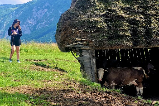 Discover Apuseni Mountains - Scarita Summit,Sipote Waterfall and Dumesti Village - Climbing the ridge to Scarita Summit
