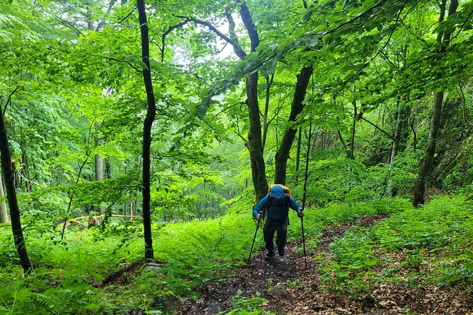 Discover Apuseni Mountains - Scarita Summit,Sipote Waterfall and Dumesti Village - Lunch, snacks, and the return journey