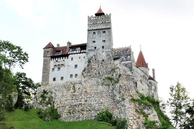 Dracula Castle, Peles and Transylvania, Premium Private Tour - Who should book this tour?