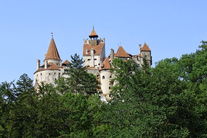 Dracula Castle, Peles Castle and Rasnov Fortress from Brasov - Cost, tickets, and overall value