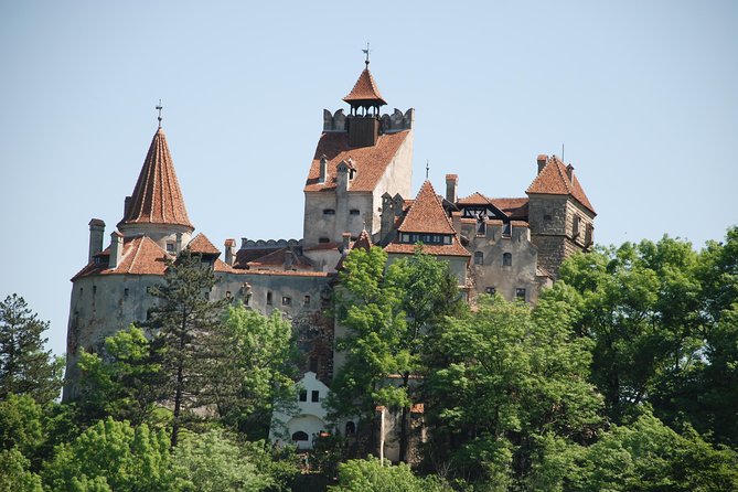 Dracula's Castle & Peles Palace Tour from Bucharest Including Brasov Old Town - What the private format is worth