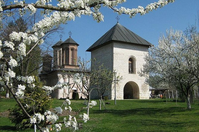 Dracula's Tomb and Mogosoaia Palace, Private Tour from Bucharest - Mogosoaia Palace and the Brancovenesc style