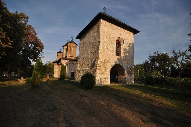 Dracula's Tomb and Mogosoaia Palace, Private Tour from Bucharest - Is $94.93 per person good value?