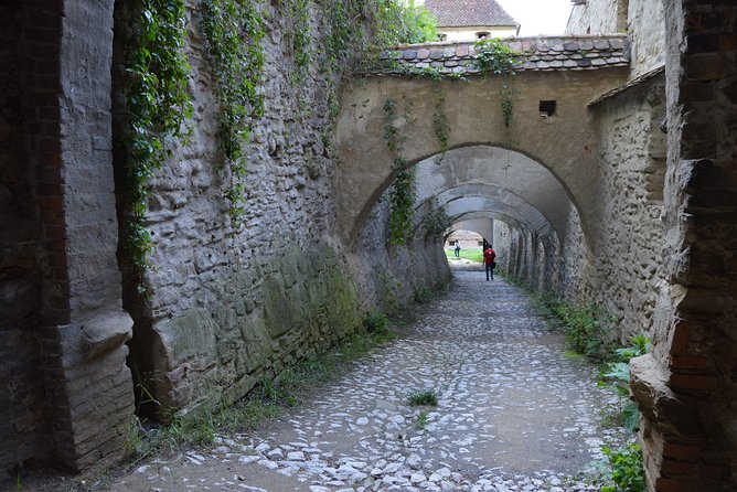 Exclusive tour: Sighisoara, Medias and Biertan tour from Sibiu - Transport, timing, and group size