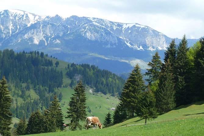 Excursión en Moeciu de Sus (recomendado para familias) con guía español nativo. - A mountain walk with a local point of view