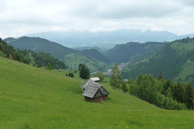 Excursión en Moeciu de Sus (recomendado para familias) con guía español nativo. - Visiting an odaie and hearing village stories