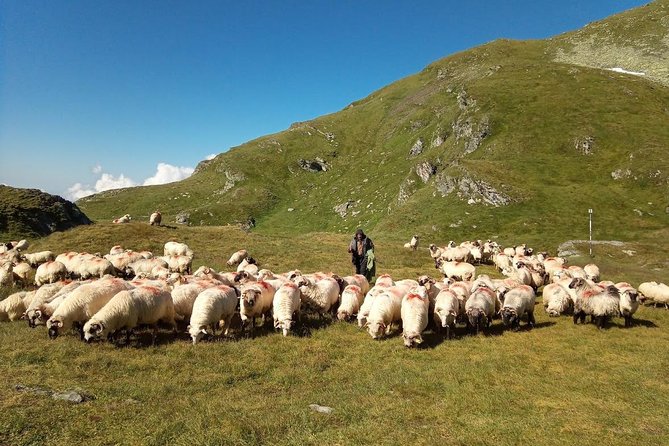 Expedition in Fagaras Mountains from Brasov (Private Tour!) - Day 1: From Sambata Valley to Fereastra Mica