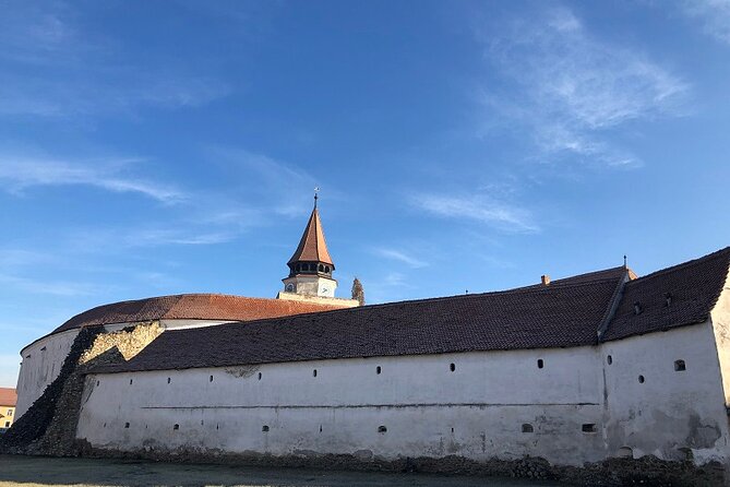 Experience the History of Bran Castle and Saxon Fortifications in Burzenland - Who will get the most from this tour?