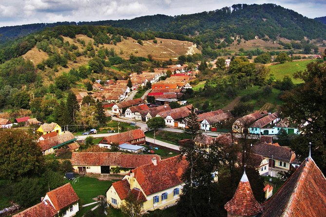 Explore Romania - 14 Days Private Guided Tour - A full day by boat in the Danube Delta
