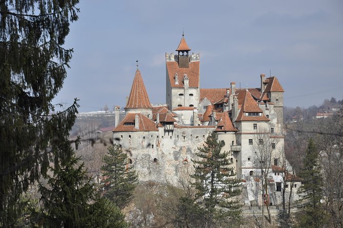 From Brasov: Discover Bran Castle and Râșnov Fortress - Bran village: Food, souvenirs, and a little free time