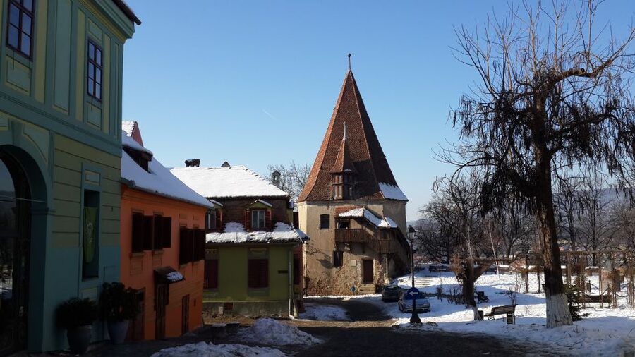 From Brasov: Guided Sighisoara and Sibiu Private Day Trip - What the $231 price really buys you