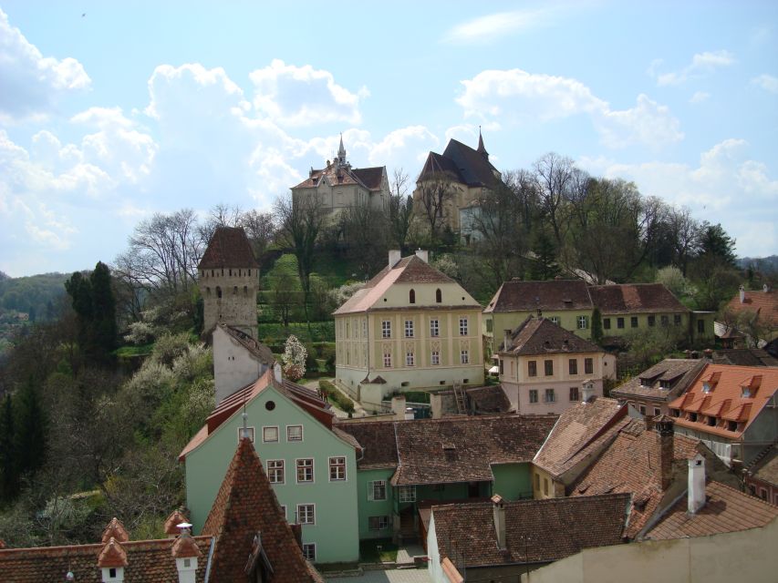 From Brasov: Guided Sighisoara and Sibiu Private Day Trip - Who will enjoy this tour most