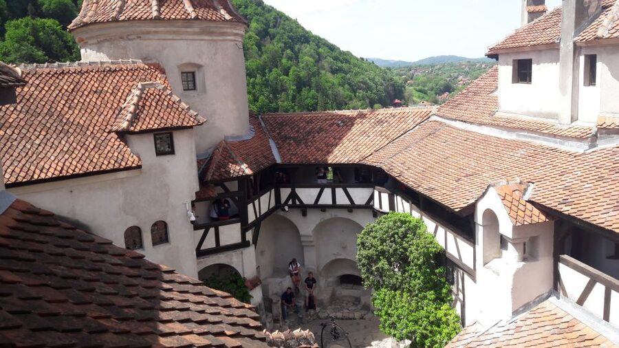 From Brasov: Peles Castle, Bran Castle & Cantacuzino Castle - The drive from Brasov through Barsei Country