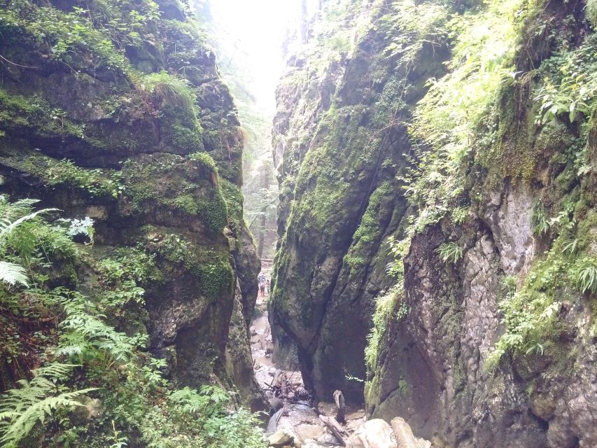 From Brasov: Piatra Craiului National Park 2-Day Guided Trek - Zarnesti Gorges and the return route