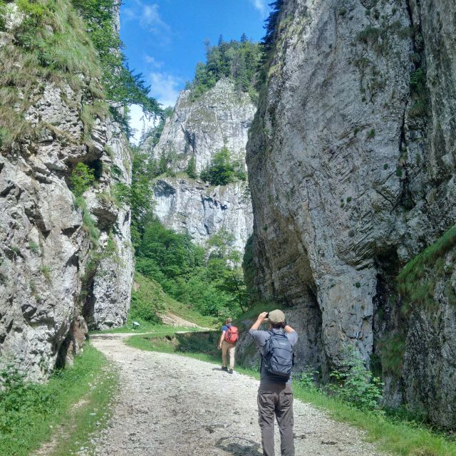 From Brasov: Piatra Craiului National Park 2-Day Guided Trek - What the price includes at $436