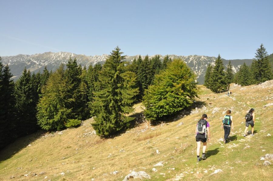 From Brasov: Piatra Craiului National Park Private Day Tour - Leaving Brașov for the Piatra Craiului foothills