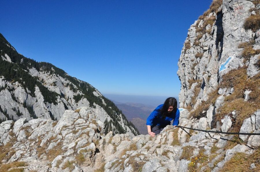 From Brasov: Piatra Craiului National Park Private Day Tour - Zărnești Gorge and the route toward the ridge