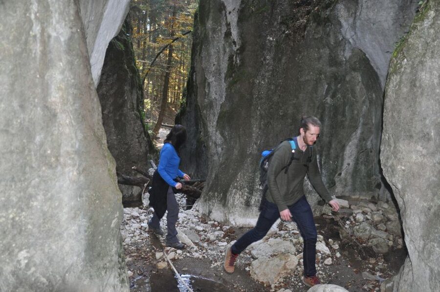 From Brasov: Piatra Craiului National Park Private Day Tour - Is $111 a fair price?