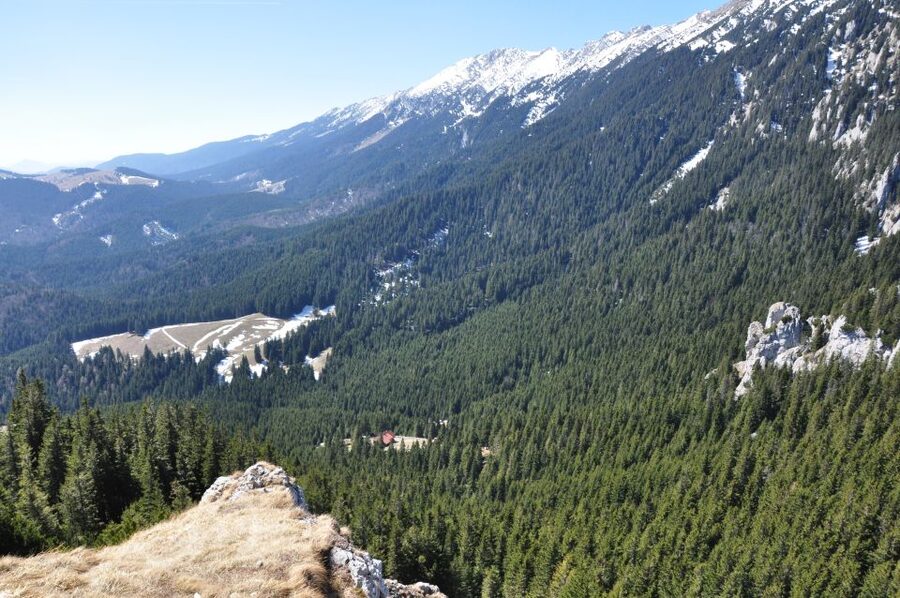 From Brasov: Piatra Craiului National Park Private Day Tour - Who should book this day in the Carpathians?