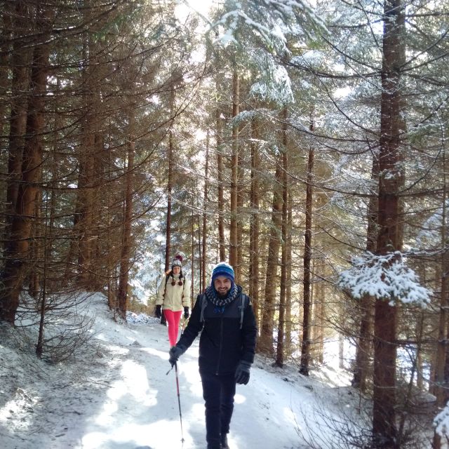 From Brasov: Piatra Craiului National Park Private Day Tour - The lower trails: forests, meadows, and village life