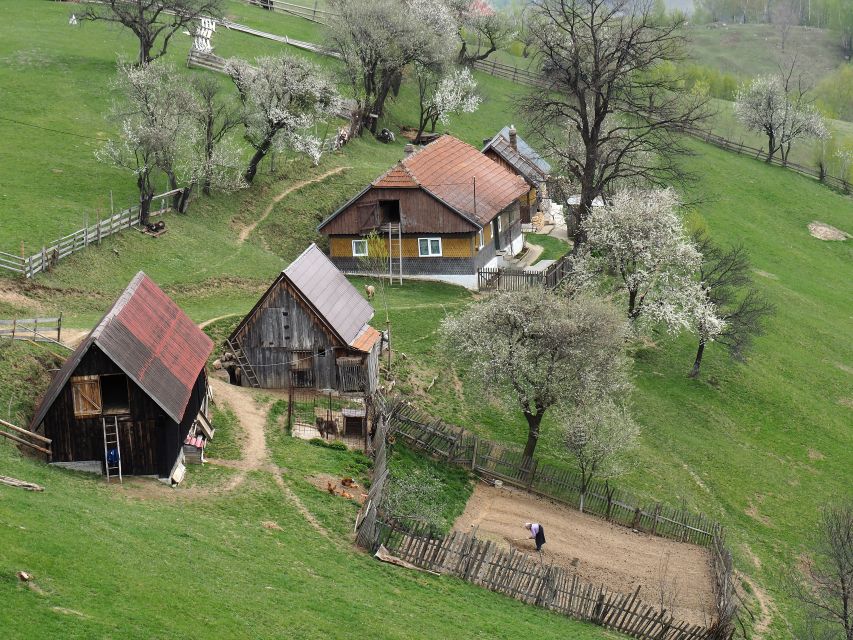 From Brasov: Romanian Mountain Villages Day Tour - Leaving Brasov for the Carpathian foothills