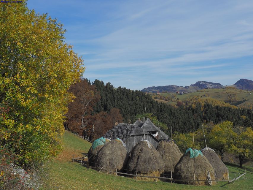 From Brasov: Romanian Mountain Villages Day Tour - Lunch at the National Park’s oldest guesthouse