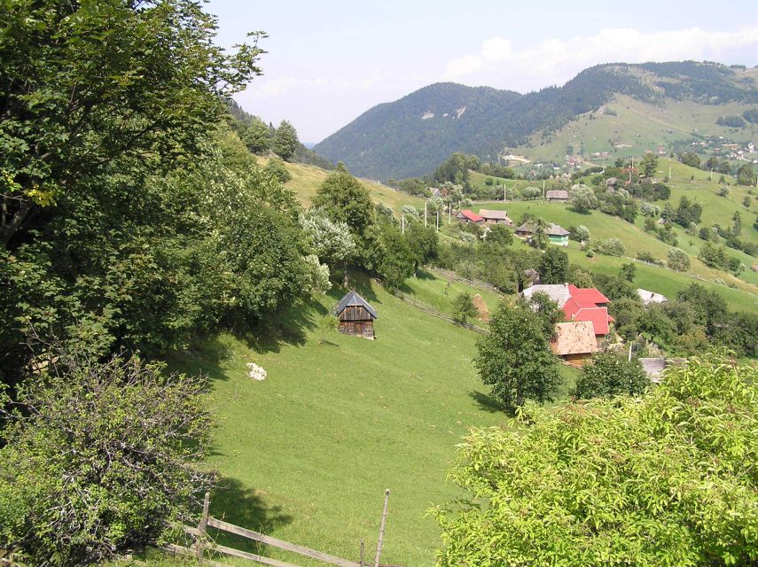 From Brasov: Romanian Mountain Villages Day Tour - Why the guide makes or breaks the day