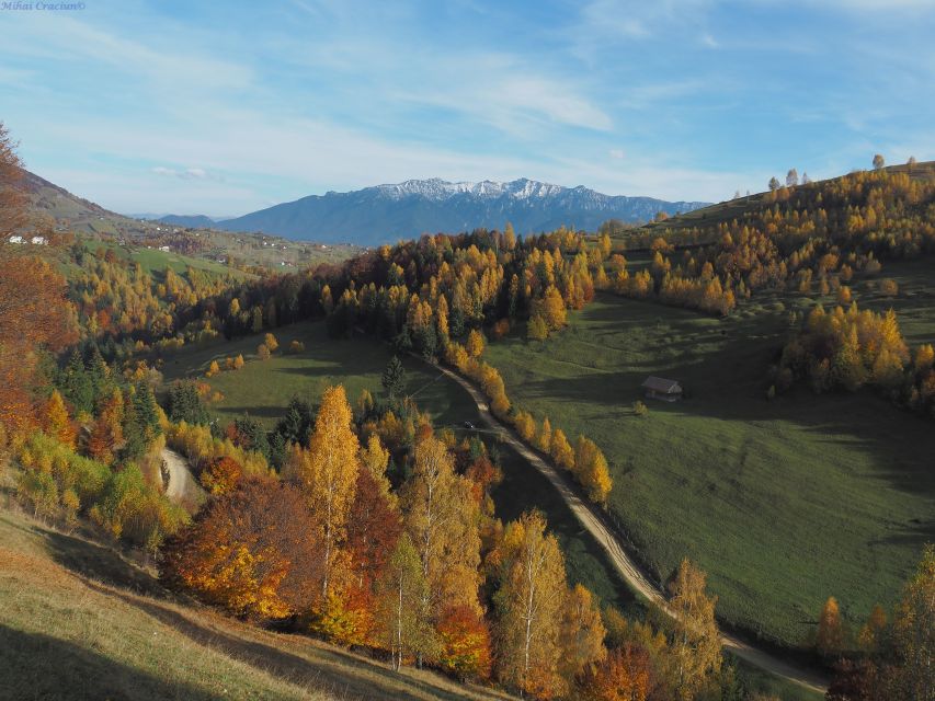 From Brasov: Romanian Mountain Villages Day Tour - Is the $116 price good value?