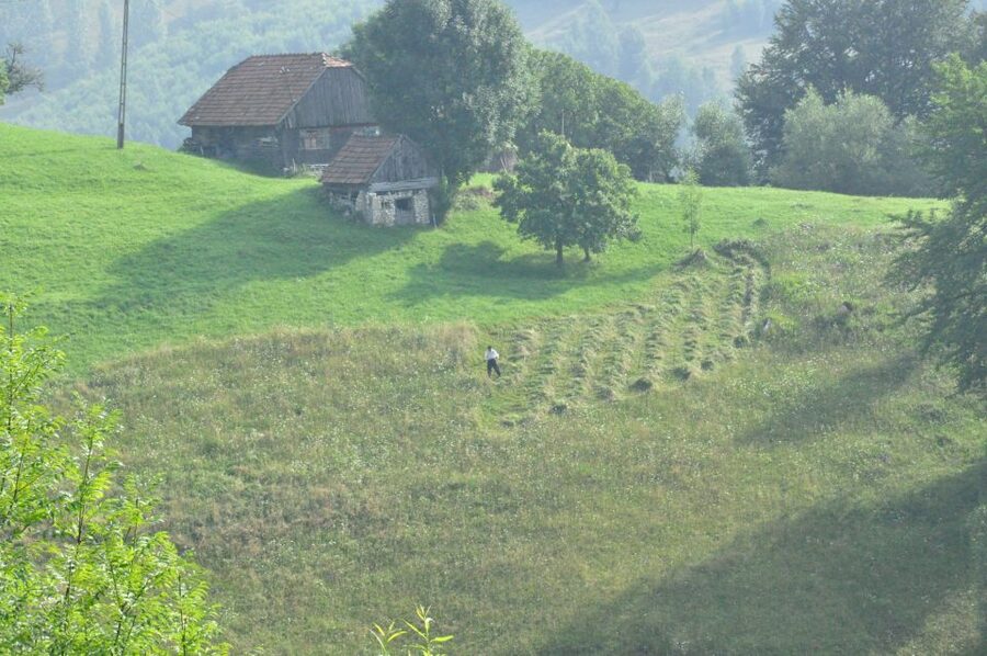 From Brasov: Romanian Mountain Villages Day Tour - Who should book this Brasov day trip?