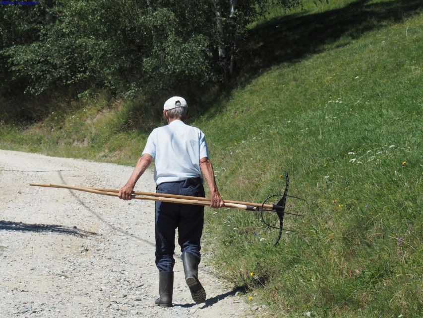 From Brasov: Romanian Mountain Villages Day Tour - The Bat Cave and its limestone formations