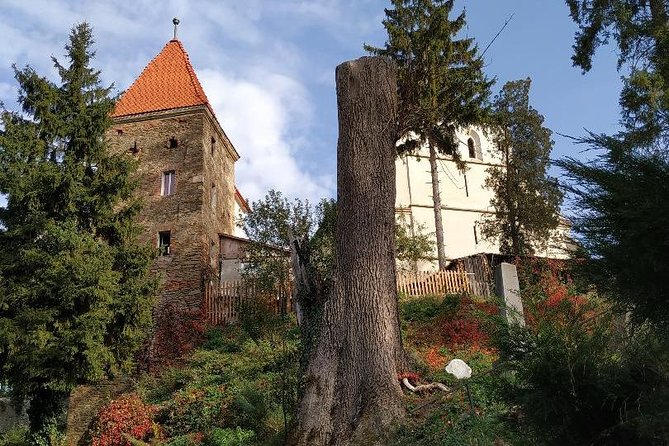 From Brasov: Sighisoara and Sibiu with Hotel Pick up and Drop off - Who should book this day trip?