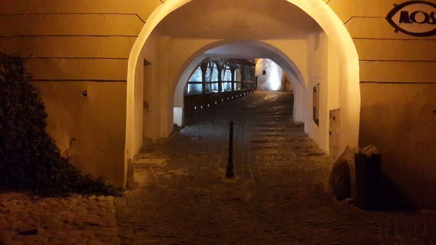 From Brasov: Sighisoara and Viscri UNESCO Day Tour - How the price of $106 measures up