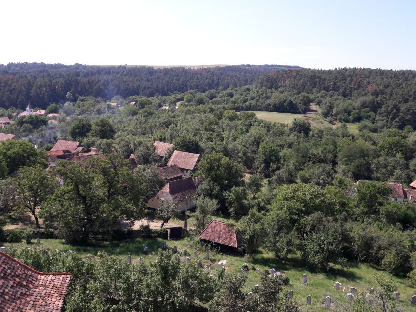 From Brasov: Sighisoara, Viscri, and Rupea Unesco Day Trip - Why this day trip works from Brasov