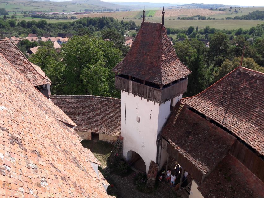 From Brasov: Sighisoara, Viscri, and Rupea Unesco Day Trip - Who should book this experience?