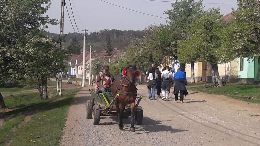 From Brasov: Sighisoara, Viscri, and Rupea Unesco Day Trip - Final verdict: a strong one-day introduction to Transylvania