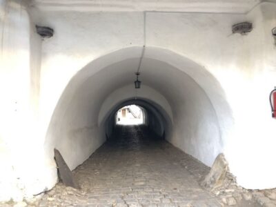 Small-Group Half-Day Fortified Churches Tour