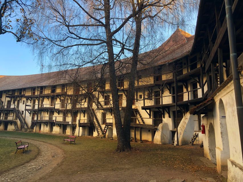 From Brasov: Small-Group Half-Day Fortified Churches Tour - Who will enjoy this small-group outing?