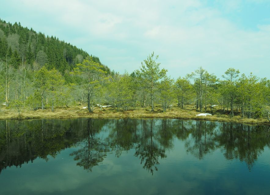 From Brasov: Small-Group Volcanic Lake Day Trip - Saint Ana Lake, a volcano crater filled with still water