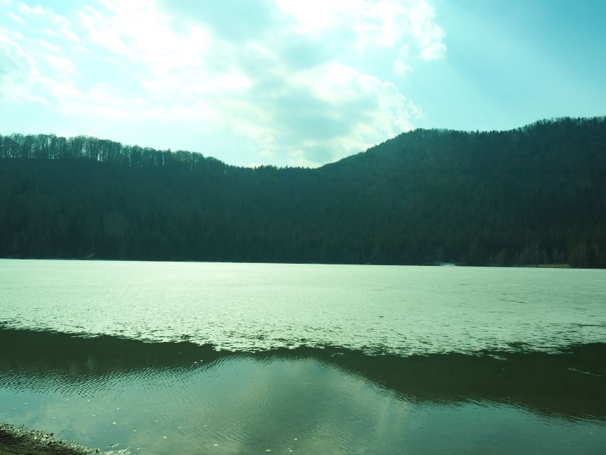 From Brasov: Small-Group Volcanic Lake Day Trip - Mohos Peat Bog and its carnivorous plants