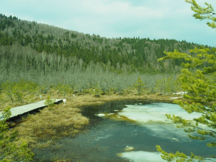 From Brasov: Small-Group Volcanic Lake Day Trip - Mineral springs used by people from the area