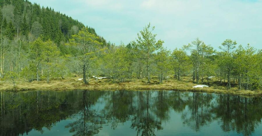 From Brasov: Small-Group Volcanic Lake Day Trip - The road from Brasov to the Ciomat Mountains
