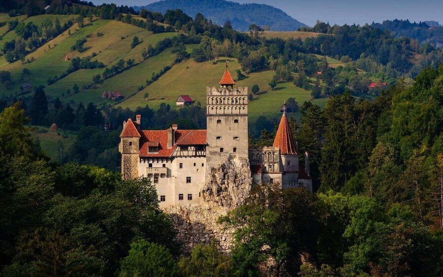 From Brasov: Tour of Castles and Surrounding Area - Price, entry fees, and what the value really is