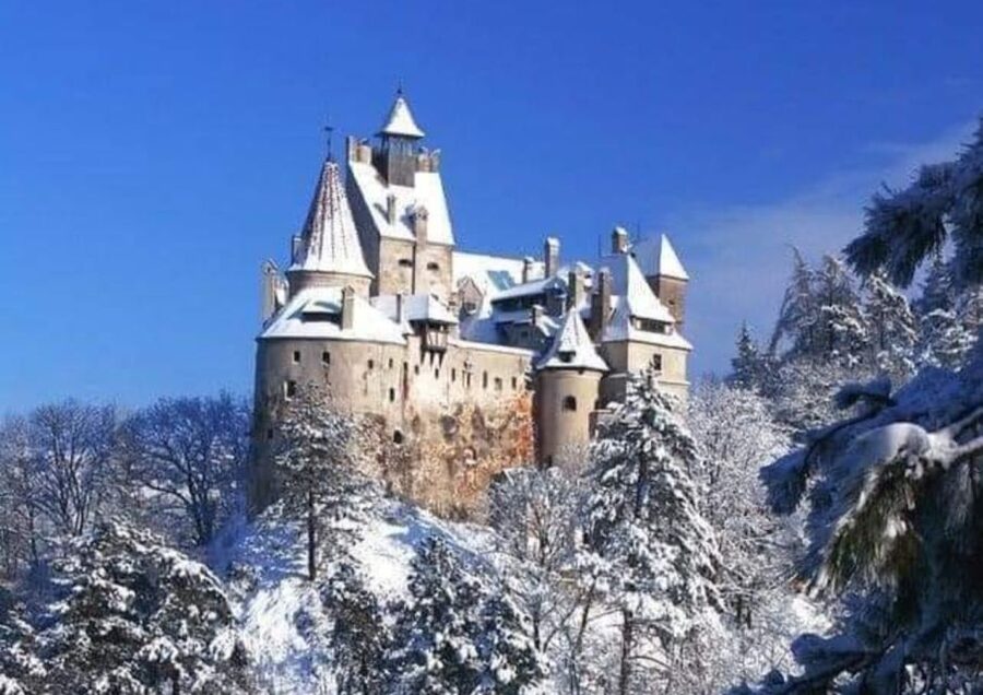 From Bucharest: 2-Day Tour to Brasov and Sighisoara - The Brasov question you should not miss