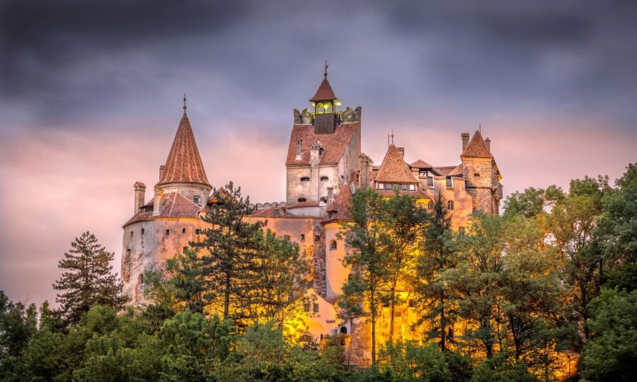 From Bucharest: A Taste of Transylvania: Private Tour - Who should choose this private Transylvania day trip?