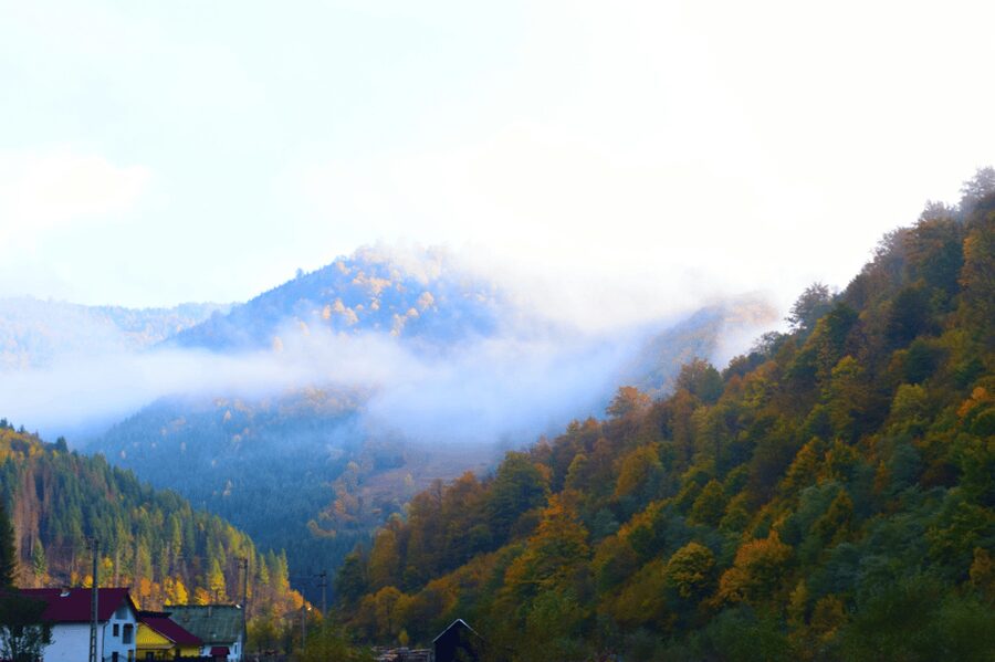 From Bucharest: Bear Sanctuary and 7 Ladders Canyon Day Trip - The day in brief